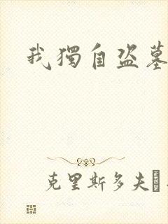 我独自盗墓