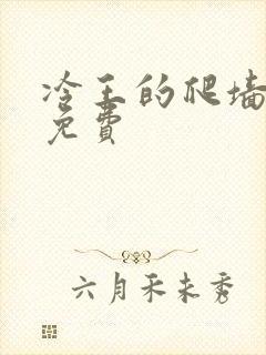 冷王的爬墙丑妃免费