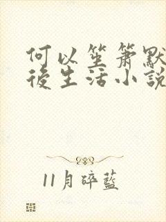 何以笙箫默之婚后生活小说