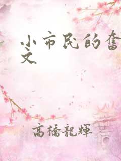 小市民的奋斗燃文