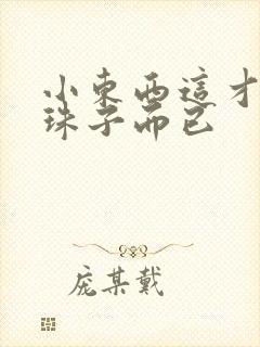 小东西这才一颗珠子而已