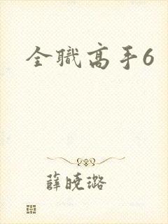 全职高手6