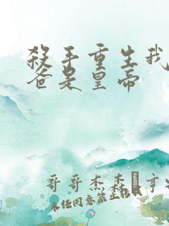 杀手重生我的老爸是皇帝