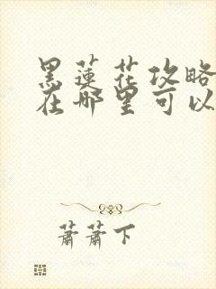 黑莲花攻略手册在哪里可以免费阅读