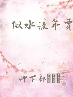 似水流年贾二虎