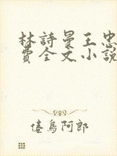 林诗曼王忠文免费全文小说的名称