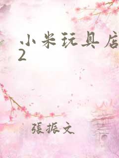 小米玩具店老板2