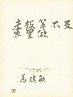 老板等不及了在车里做