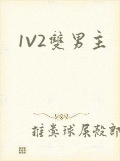 1V2双男主