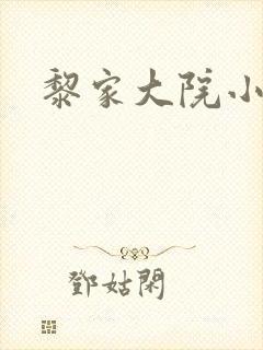 黎家大院小说