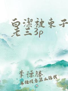 白洁被东子老二老三3p