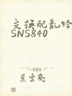 交换配乱吟粗大SNS840