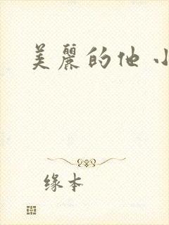美丽的他 小说