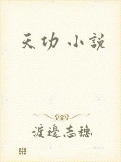 天功 小说