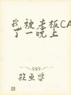 我被老板CAO了一晚上