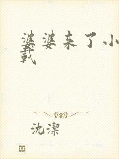 婆婆来了小说下载