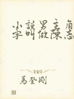 小说男主角的名字叫做陈志远