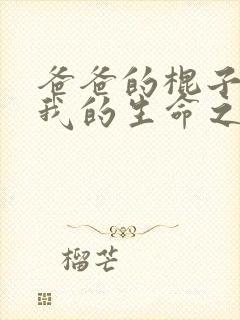 爸爸的棍子顶着我的生命之苏苗