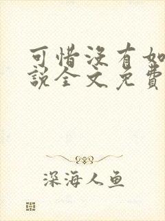 可惜没有如果小说全文免费阅读