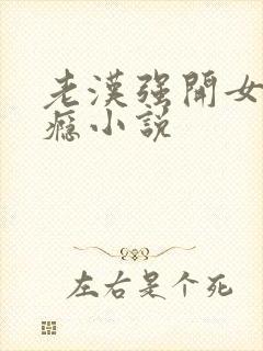 老汉强开女娃过瘾小说