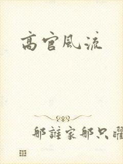 高官风流