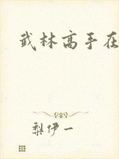 武林高手在官场