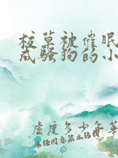 校草被催眠洗脑成骚狗的小说