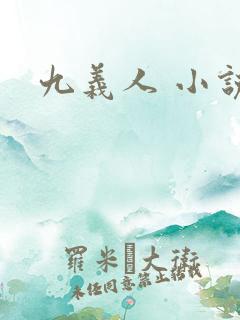 九义人 小说