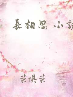 长相思 小说