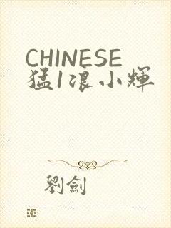 CHINESE猛1浪小辉