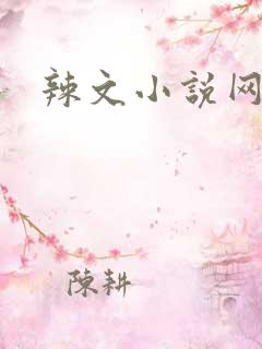 辣文小说网