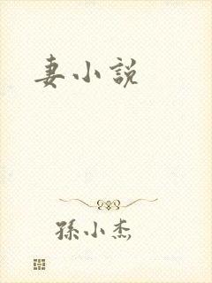 妻小说
