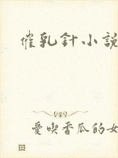 催乳针小说