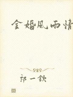 金婚风雨情下载