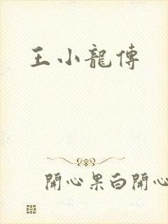 王小龙传