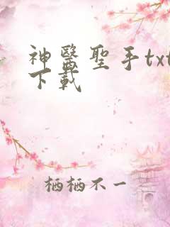 神医圣手txt下载