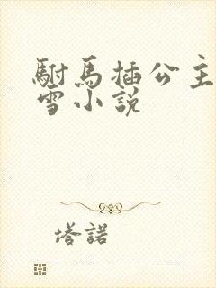 驸马插公主恋战雪小说