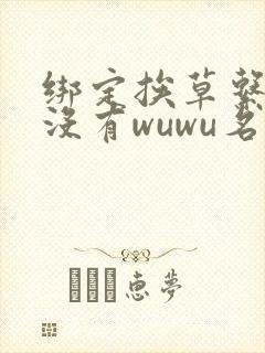 绑定挨草系统后没有wuwu名字