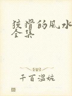 狡猾的风水相师全集