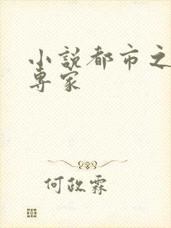 小说都市之军火专家