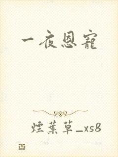 一夜恩宠