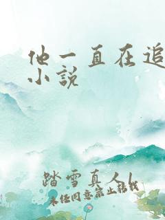 他一直在追初恋小说