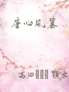 唐心风暴