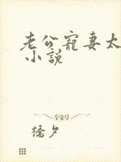 老公宠妻太甜蜜 小说