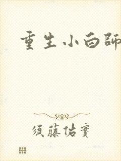 重生小白师尊