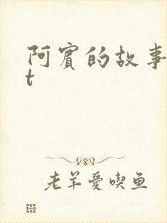 阿宾的故事txt