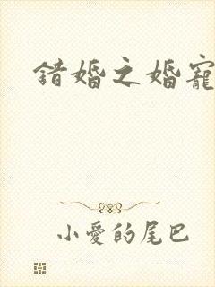 错婚之婚宠一世