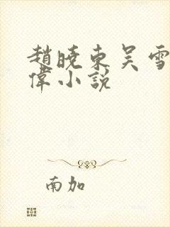 赵晓东吴雪晴郑伟小说