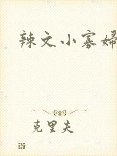 辣文小寡妇