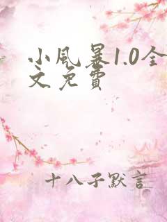 小风暴1.0全文免费